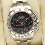 Rolex Daytona 116509