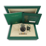 Rolex Sky-Dweller 336933